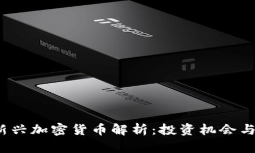 2023年新兴加密货币解析：投资机会与市场前景
