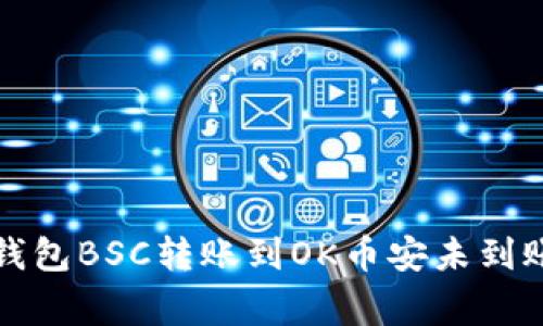 如何解决TP钱包BSC转账到OK币安未到账的常见问题
