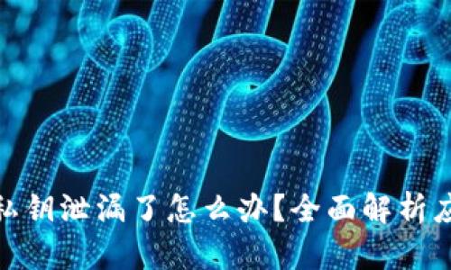 TP钱包私钥泄漏了怎么办？全面解析应对措施