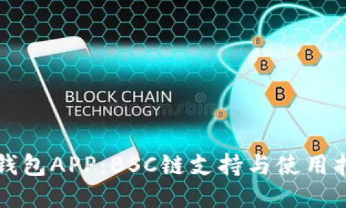 TP钱包APP：BSC链支持与使用指南