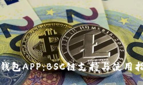 TP钱包APP：BSC链支持与使用指南
