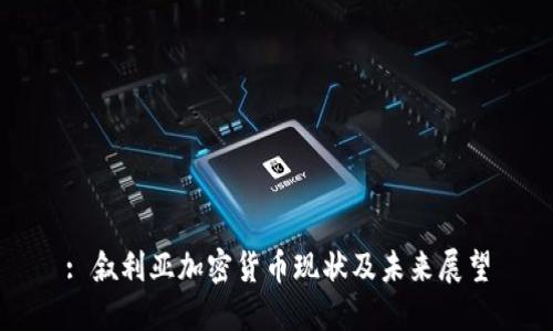 : 叙利亚加密货币现状及未来展望