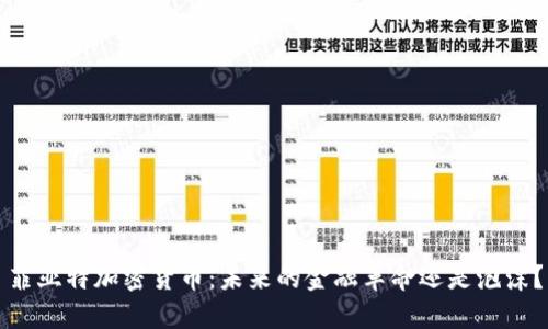 菲亚特加密货币：未来的金融革命还是泡沫？