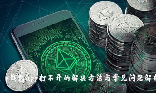 t p钱包app打不开的解决方法与常见问题解析