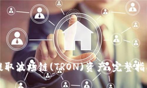 如何在TP钱包中提取波场链(TRON)资产：完整指南与常见问题解答