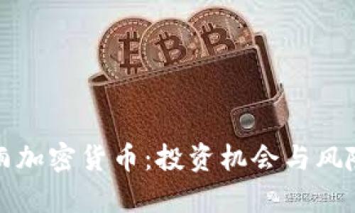 暴风雨加密货币：投资机会与风险分析