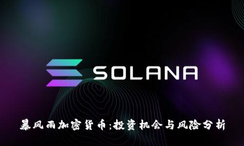 暴风雨加密货币：投资机会与风险分析