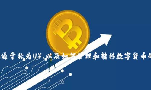 在这个“t p钱包里的U被转入OK”的话题中，我们将深入探讨有关TP钱包、USDT（通常称为U）、以及如何管理和转移数字货币的相关信息。这篇文章将提供系统的解答和见解，帮助读者更好地理解这一领域。

TP钱包与USDT转移：安全性、便捷性及注意事项