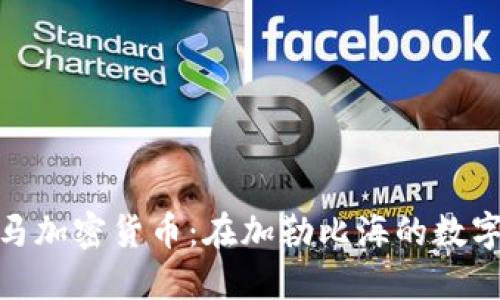 探索巴哈马加密货币：在加勒比海的数字金融革命