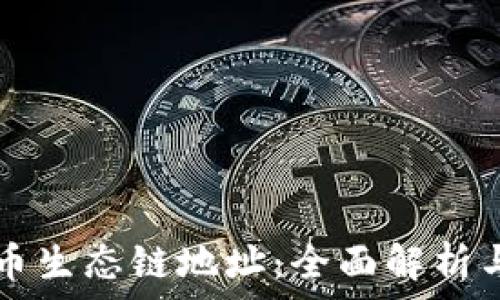   
TP钱包货币生态链地址：全面解析与使用指南