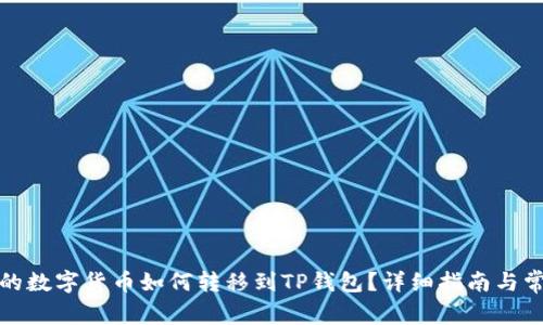 抹茶交易所的数字货币如何转移到TP钱包？详细指南与常见问题解答