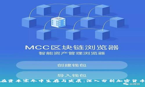 如何在资本寒冬中生存与发展：深入分析加密货币市场