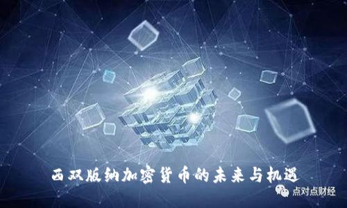 西双版纳加密货币的未来与机遇