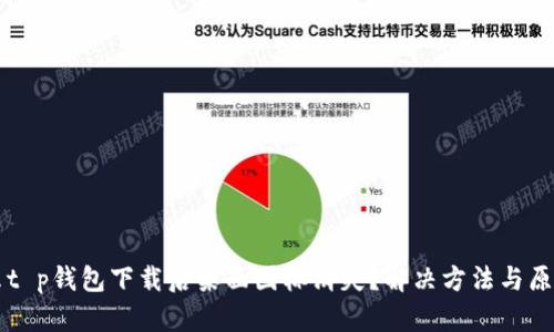 为什么t p钱包下载后桌面图标消失？解决方法与原因解析