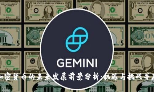 加密货币的未来发展前景分析：机遇与挑战并存
