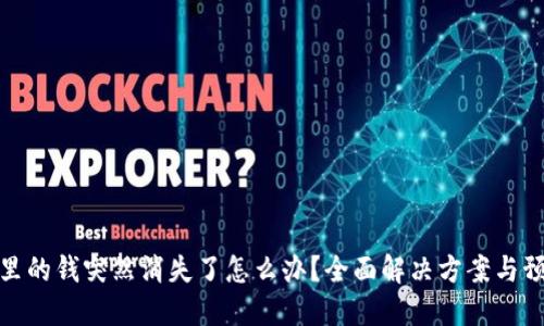 TP钱包里的钱突然消失了怎么办？全面解决方案与预防措施