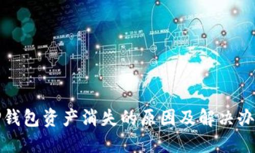 TP钱包资产消失的原因及解决办法