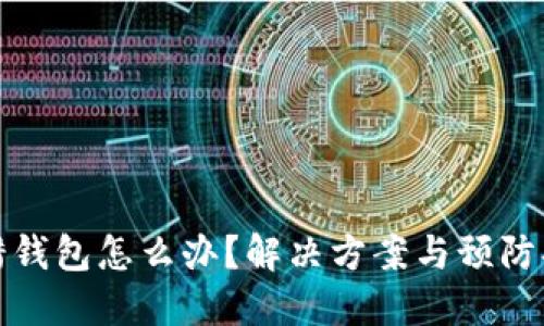 : TP转错钱包怎么办？解决方案与预防措施详解