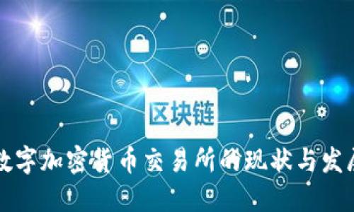 中国数字加密货币交易所的现状与发展趋势