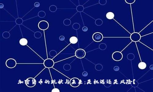 加密货币的现状与未来：是机遇还是风险？