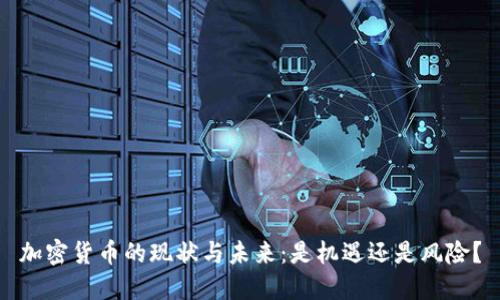 加密货币的现状与未来：是机遇还是风险？