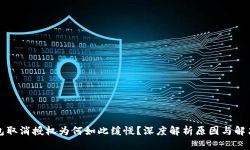 TP钱包取消授权为何如此缓慢？深度解析原因与解决办法