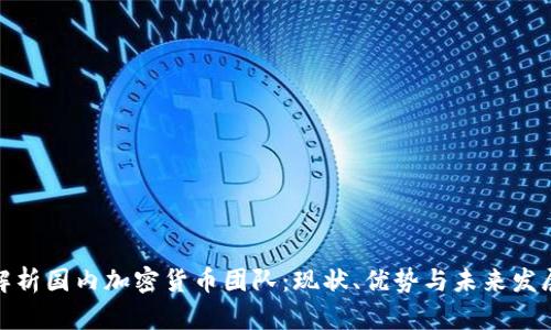 全面解析国内加密货币团队：现状、优势与未来发展趋势