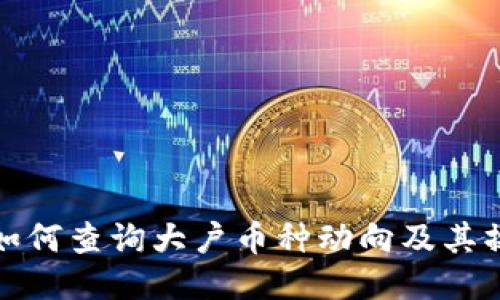 TP钱包如何查询大户币种动向及其操作技巧