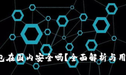 t p钱包在国内安全吗？全面解析与用户指南