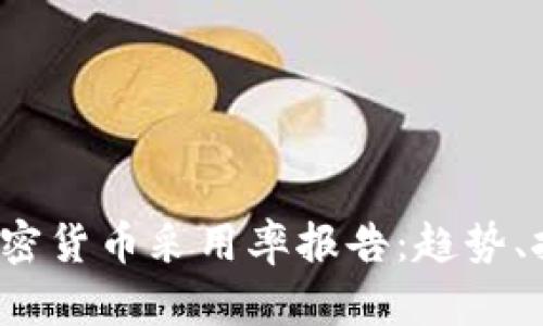 2023年全球加密货币采用率报告：趋势、挑战与未来展望