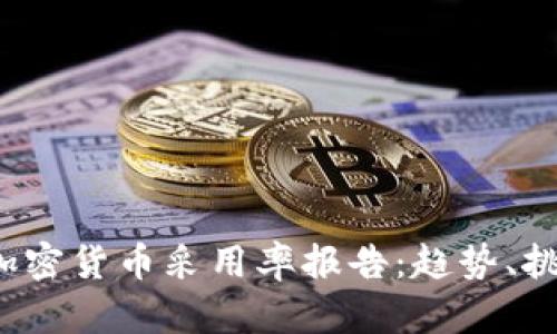 2023年全球加密货币采用率报告：趋势、挑战与未来展望