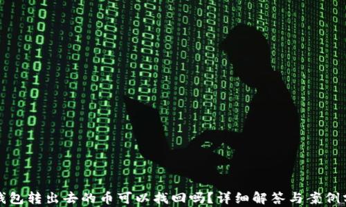 
TP钱包转出去的币可以找回吗？详细解答与案例分析