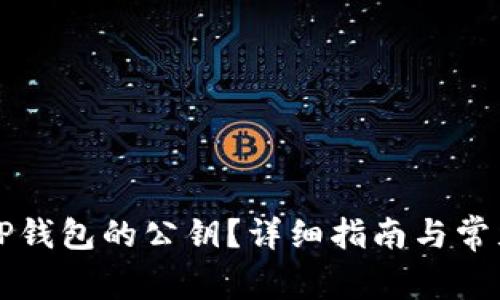 如何找到TP钱包的公钥？详细指南与常见问题解析