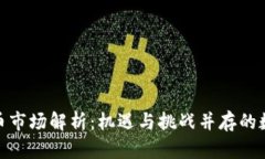 : 日本加密货币市场解析：机遇与挑战并存的数字