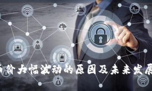  TP钱包币价大幅波动的原因及未来发展趋势分析