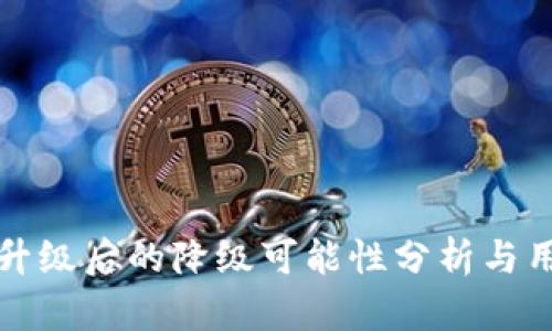 TP钱包升级后的降级可能性分析与用户指导