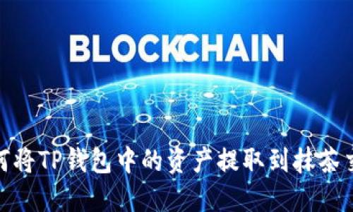 : 如何将TP钱包中的资产提取到抹茶交易所