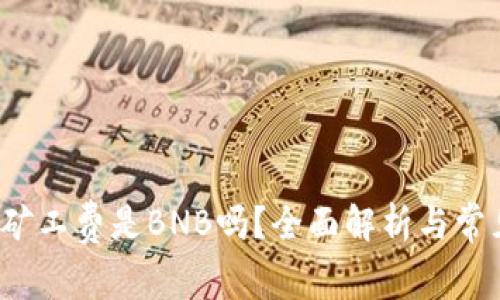 t p钱包的矿工费是BNB吗？全面解析与常见问题解答