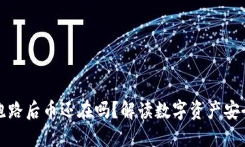 TP钱包跑路后币还在吗？解读数字资产安全与管理
