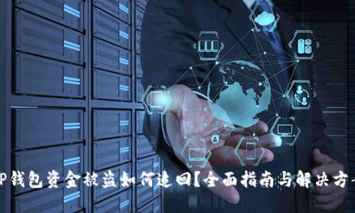 TP钱包资金被盗如何追回？全面指南与解决方案