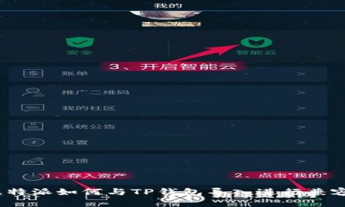 全面解读：比特派如何与TP钱包导入进行兼容及操作指南