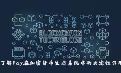 了解Pay在加密货币生态系统中的决定性作用