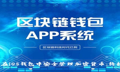 :如何在iOS钱包中安全管理加密货币：终极指南
