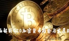 全面解析G20加密货币趋势与发展现状