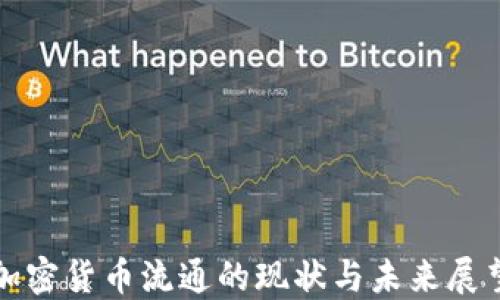
加密货币流通的现状与未来展望