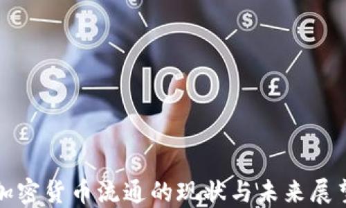 
加密货币流通的现状与未来展望