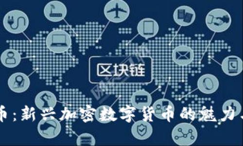 贝壳币：新兴加密数字货币的魅力与前景