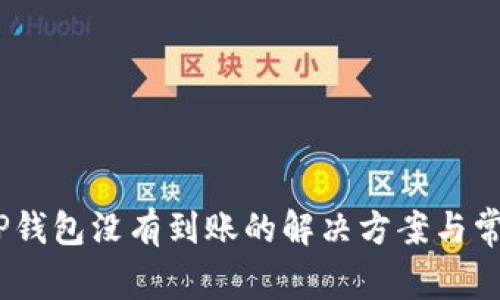 USDT提到TP钱包没有到账的解决方案与常见问题解析