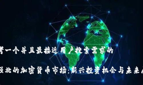 思考一个并且最接近用户搜索需求的

华强北的加密货币市场：新兴投资机会与未来展望
