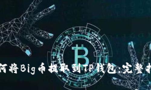 如何将Big币提取到TP钱包：完整指南